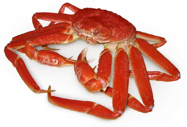 crabe