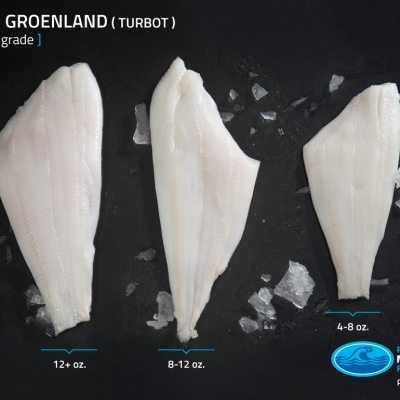 07_turbot_filet_premier_grade_poids